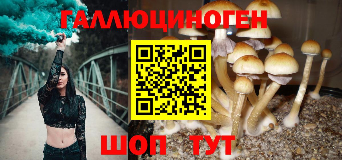 Псилоцибиновые грибы MAGIC MUSHROOMS  Псилоцибиновые грибы Cubensis  Вход с VPN  Кострома 