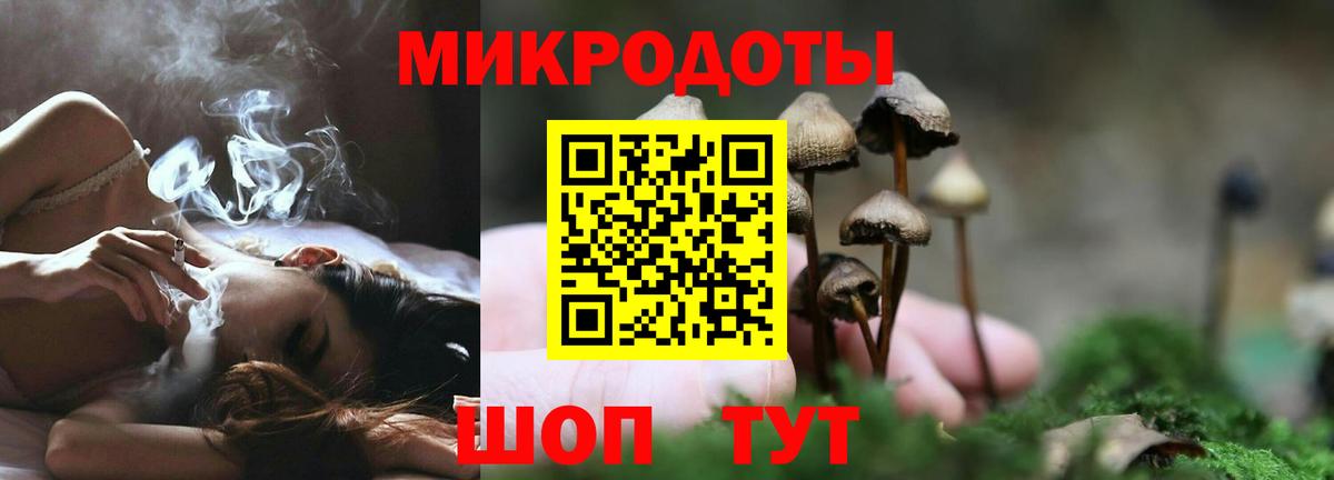 Псилоцибиновые грибы Magic Shrooms Кострома